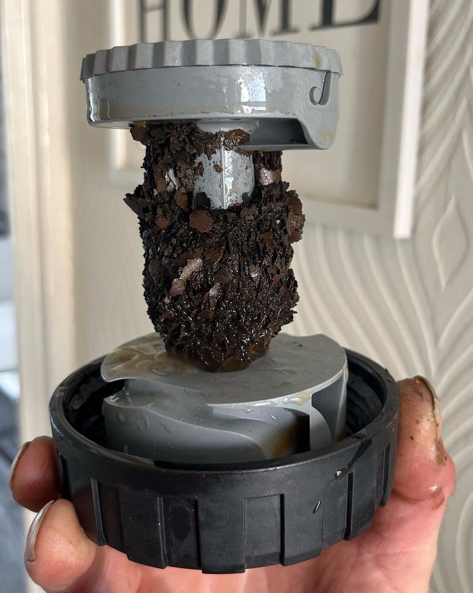 Worcester Boiler internals